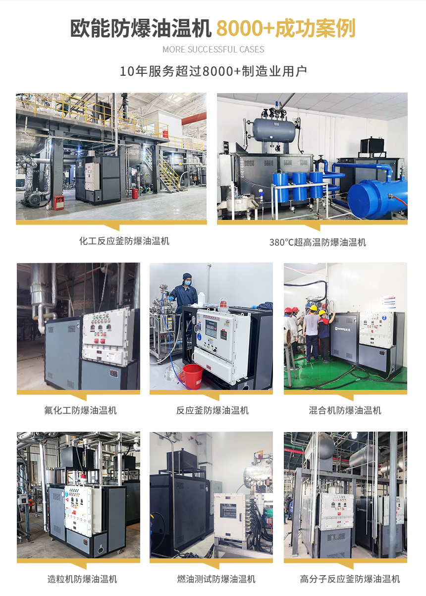 防爆高溫油溫機(jī)案例